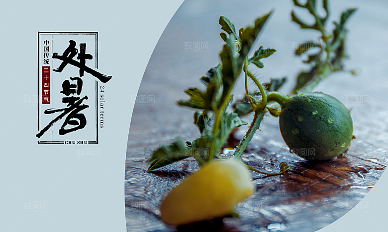 处暑节气简约大气海报