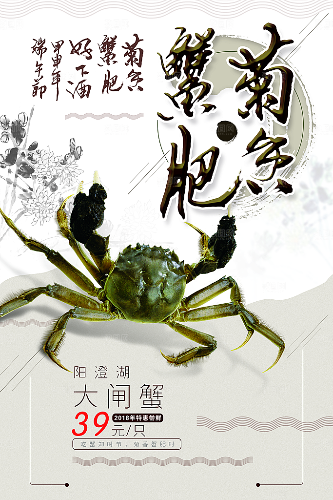 菊香蟹肥阳澄湖大闸蟹