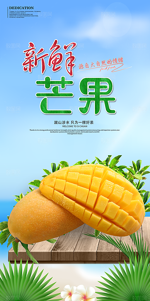 芒果宣传海报广告设计