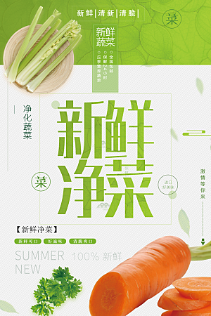 绿色健康新鲜净菜