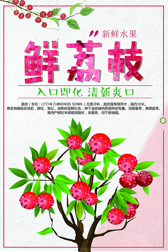新鲜水果多汁鲜荔枝