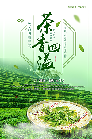 茶香四溢新茶上市