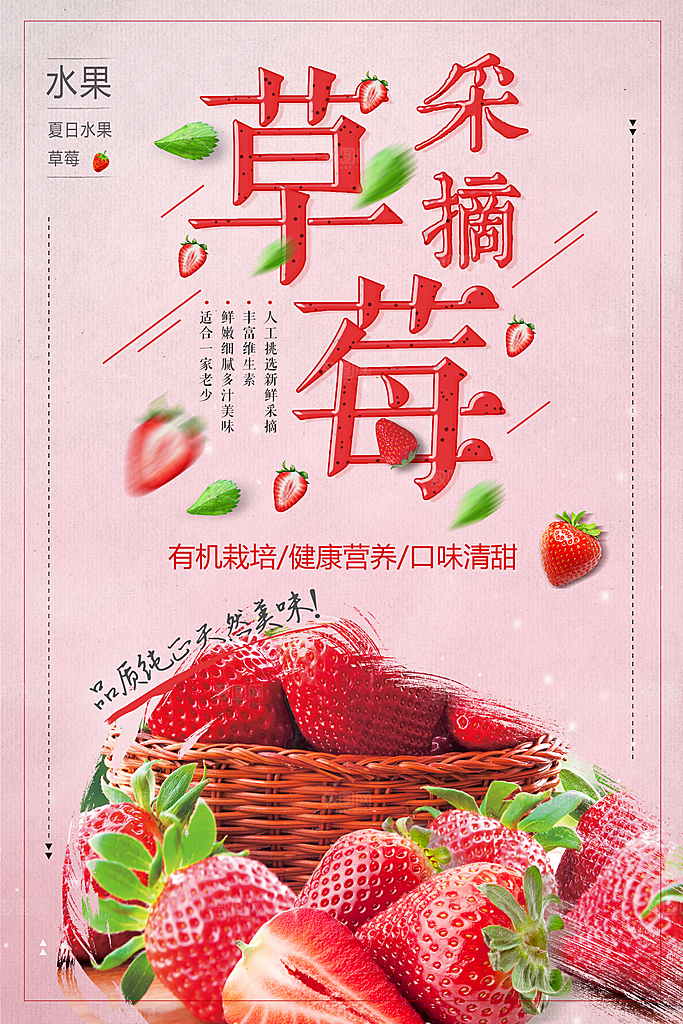 新鲜水果草莓采摘