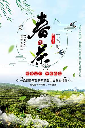 春季茶叶新茶上市