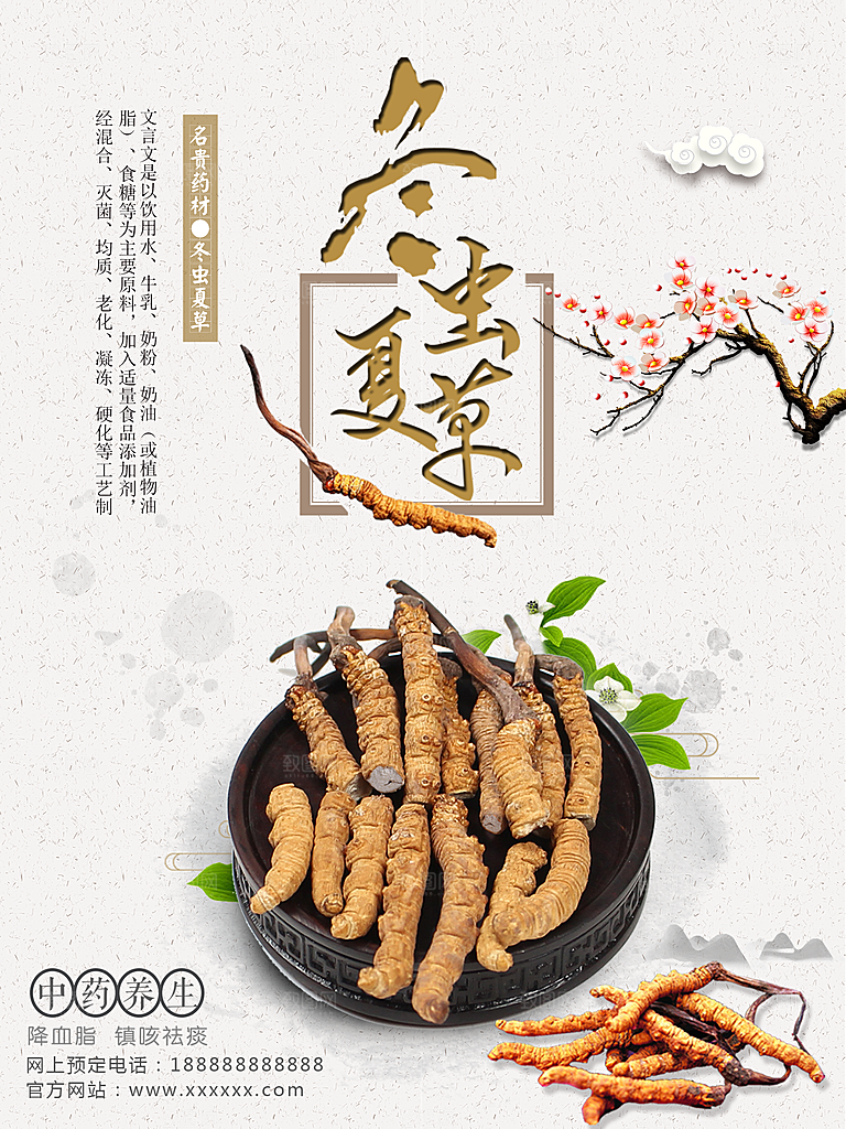 名贵药材冬虫夏草