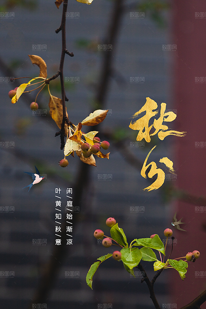 秋分节气传统海报