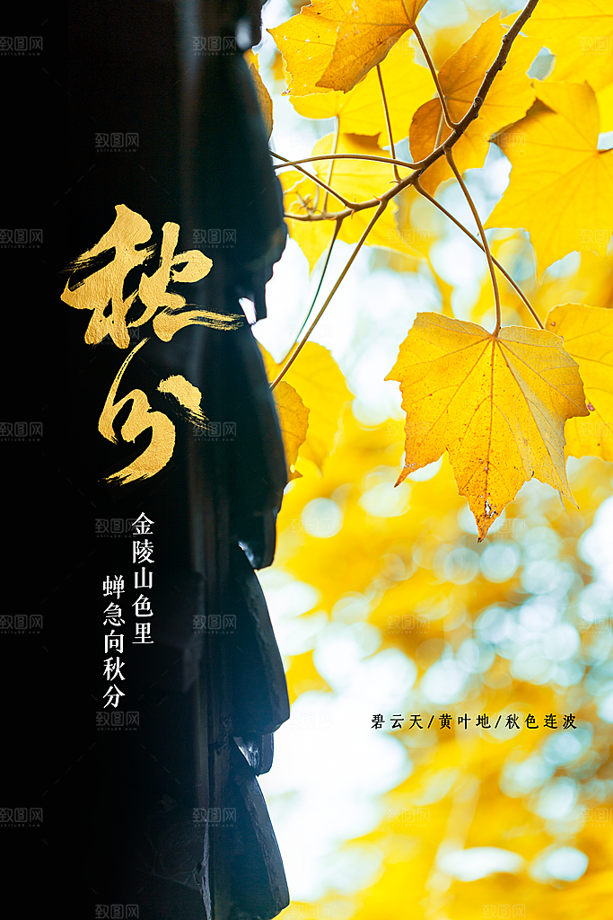 秋分节气传统海报