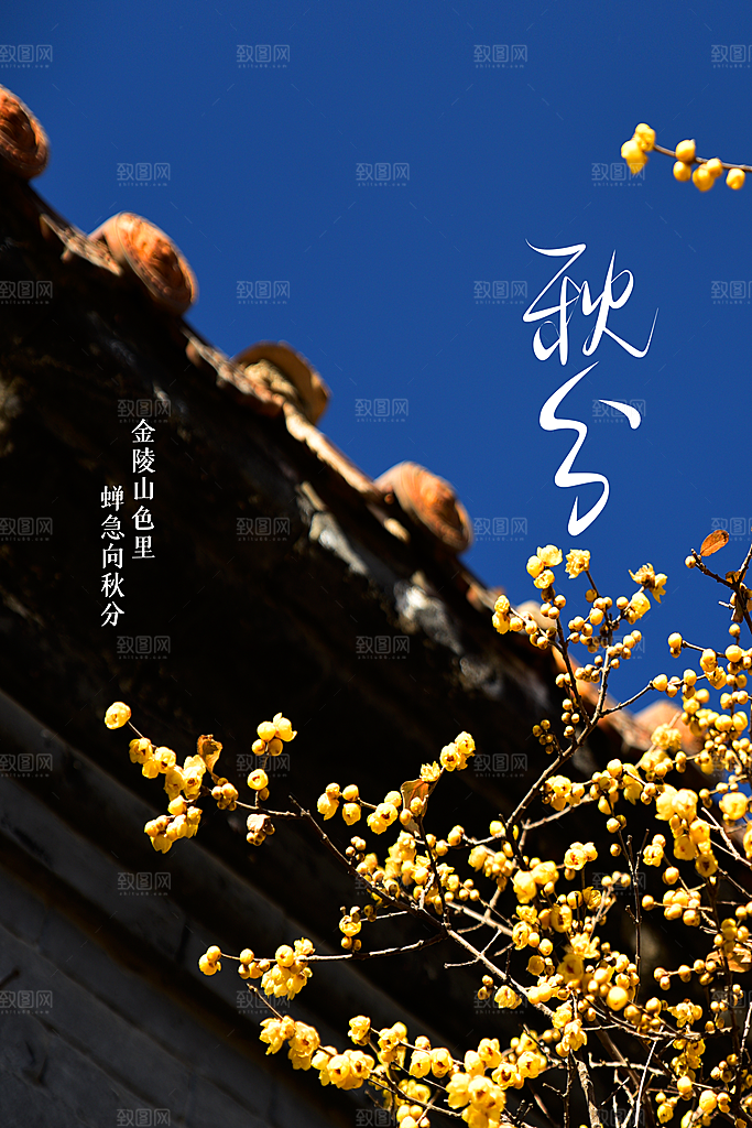 秋分节气传统海报