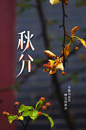 秋分节气传统海报