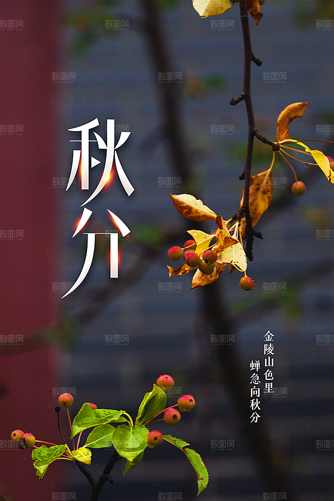 秋分节气传统海报