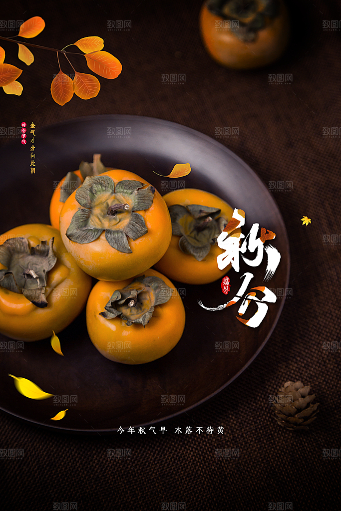 秋分节气传统海报