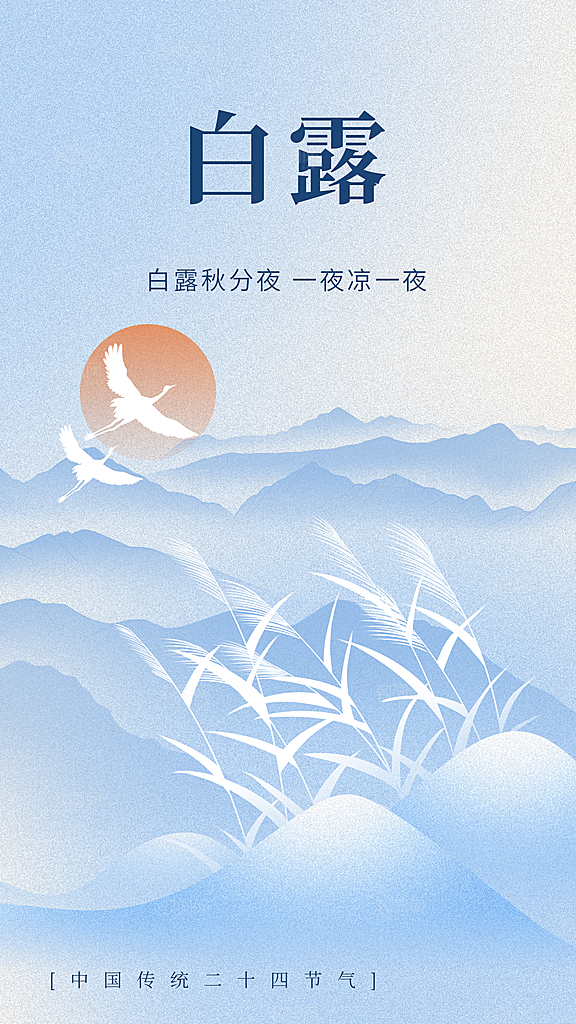 白露节气传统海报