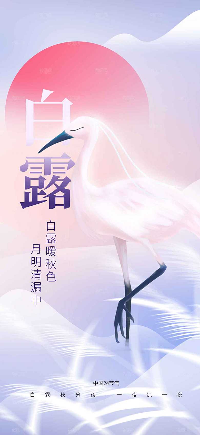 白露节气传统海报
