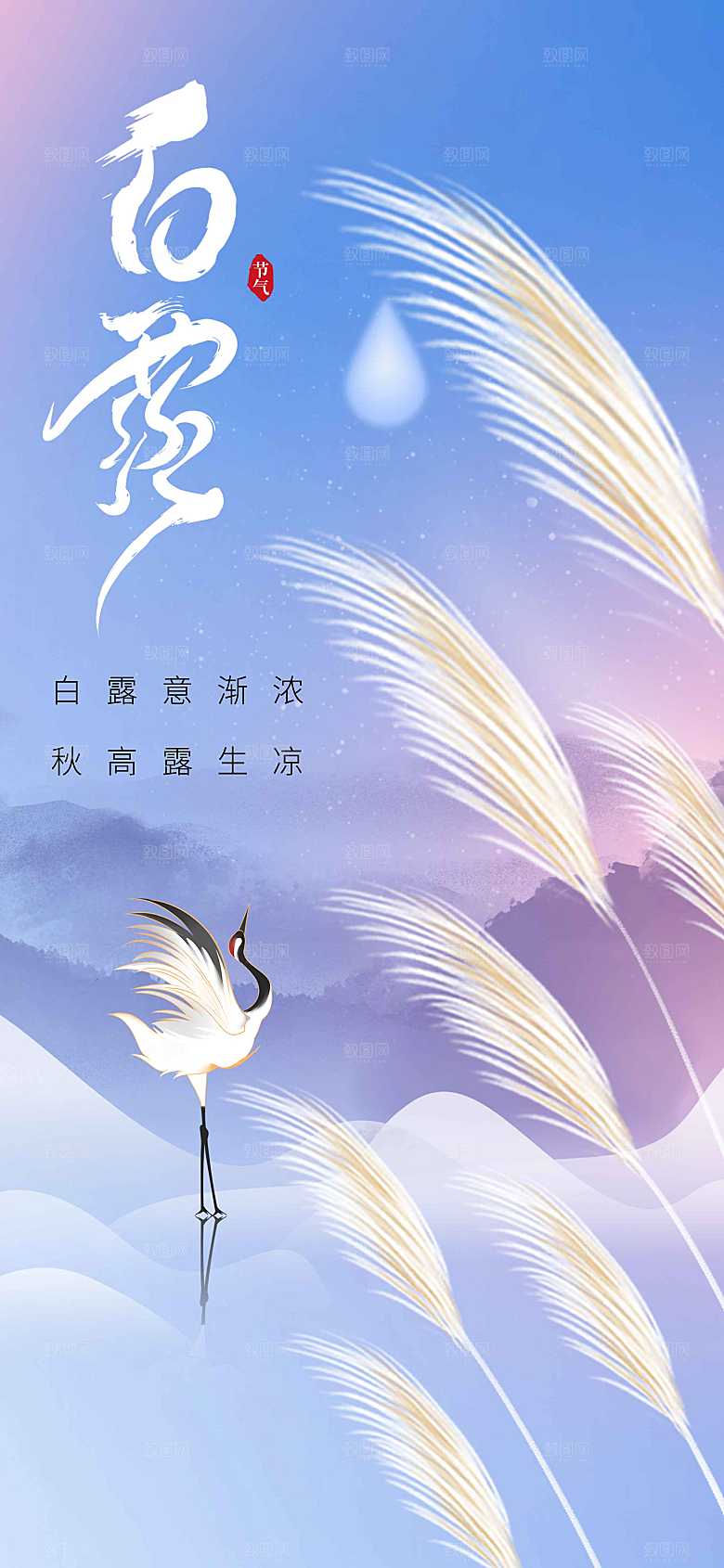白露节气传统海报