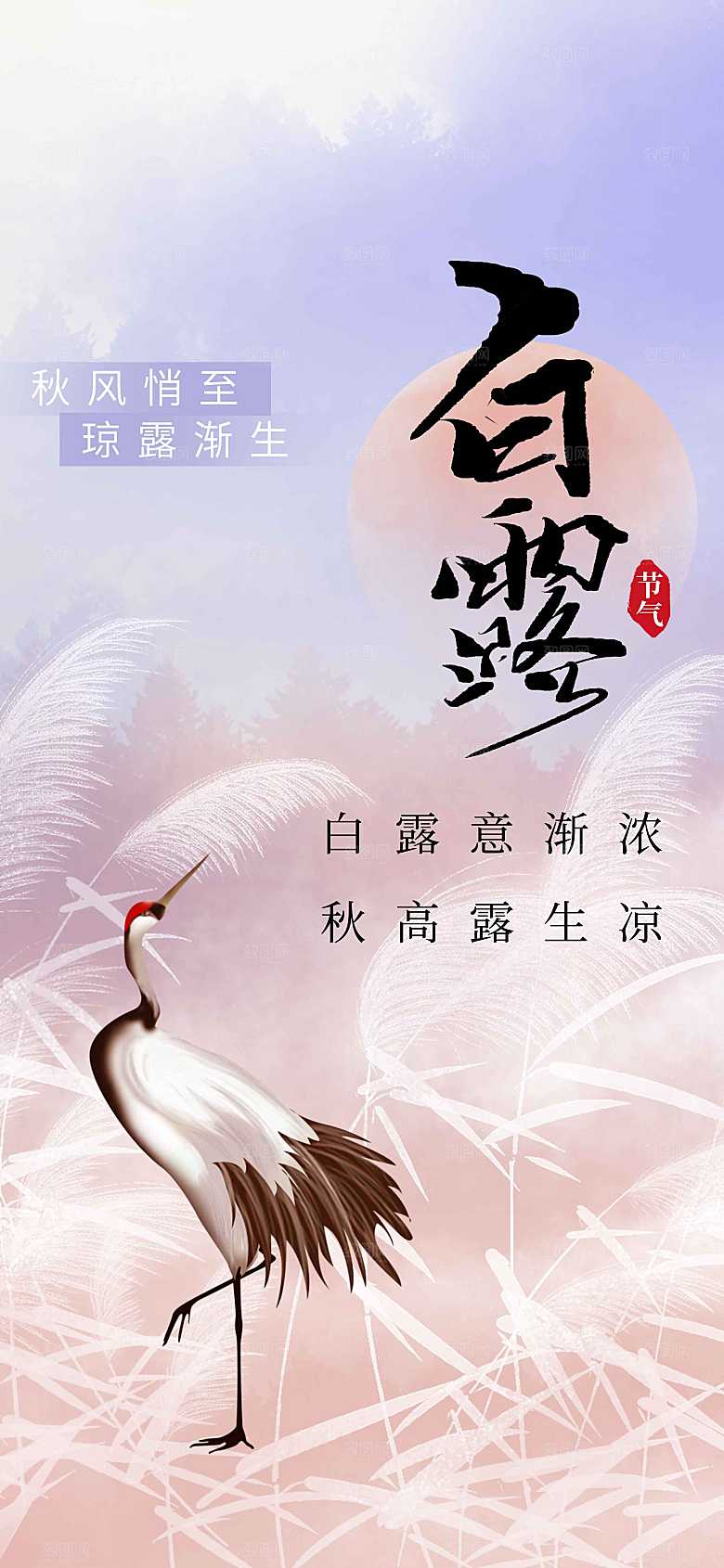 023白露节气传统海报