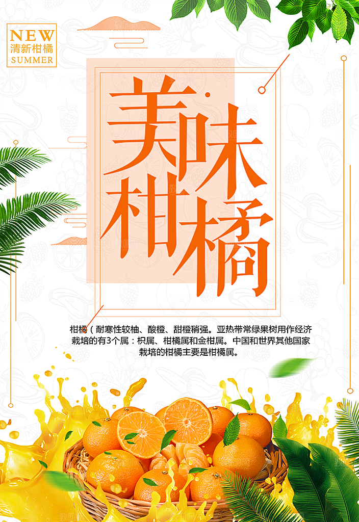 新鲜水果美味柑橘