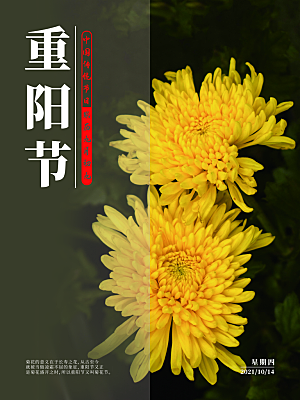传统重阳节节日宣传营销海报模板