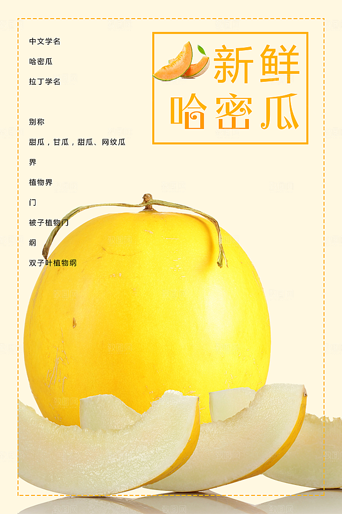 新鲜水果美味哈密瓜