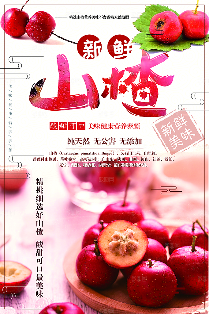 纯天然无公害新鲜山楂