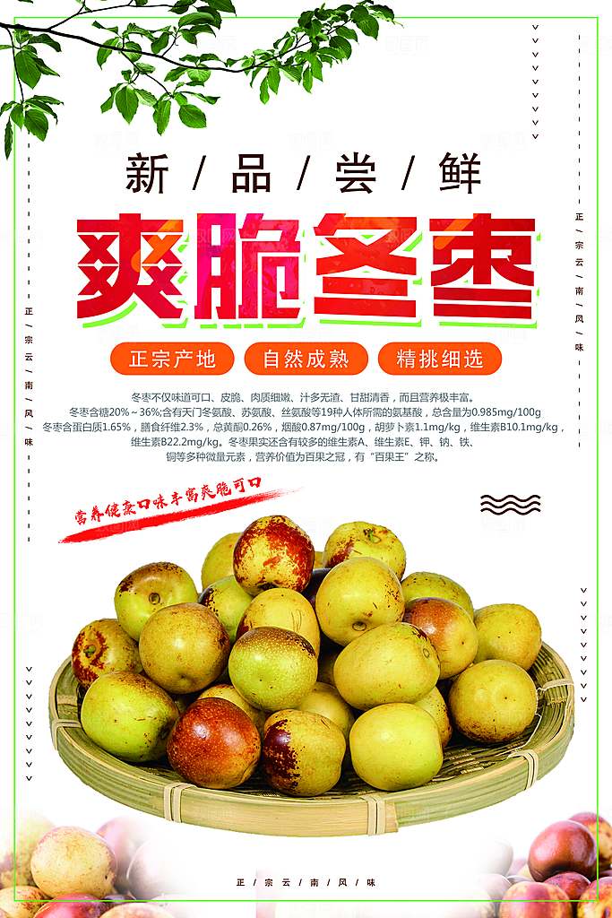 新鲜水果爽脆冬枣