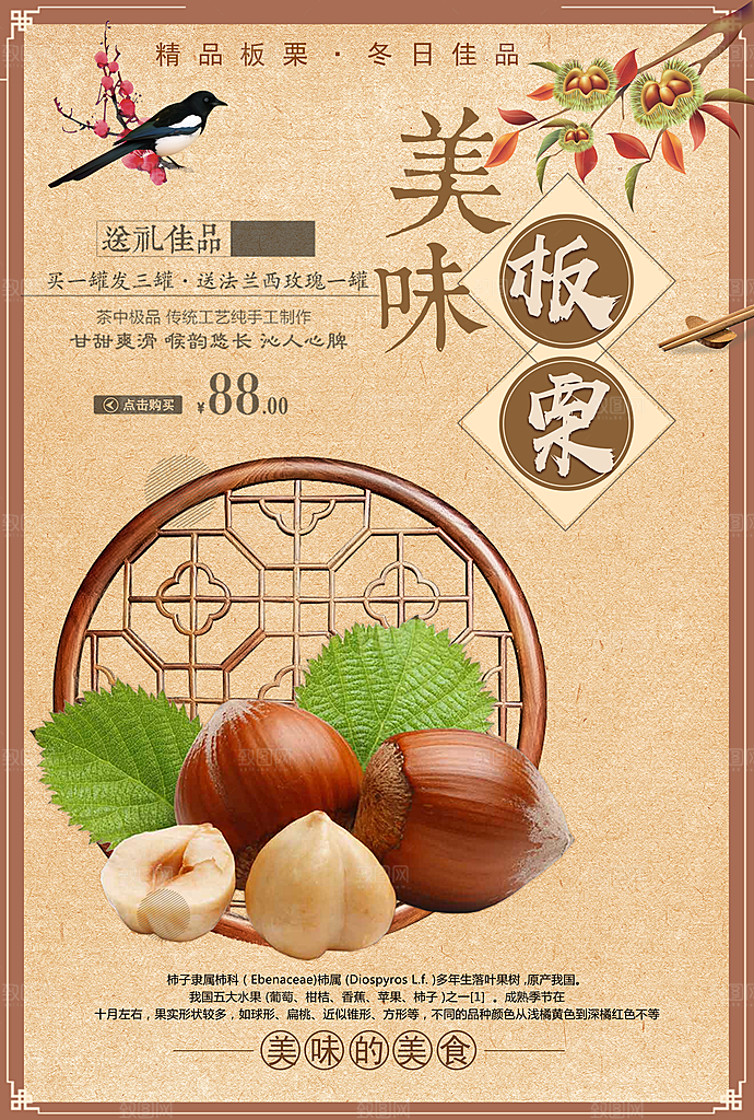 野生坚果美味板栗