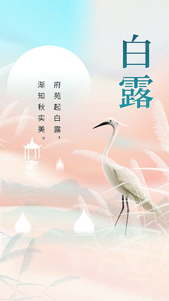 白露节气传统海报