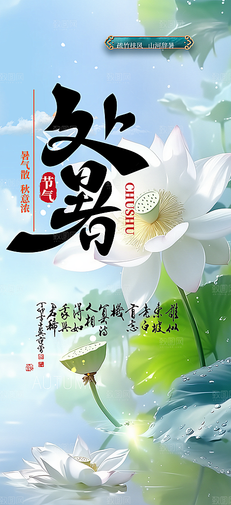 夏日处暑二十四节气海报