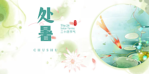 浅色夏日夏天处暑二十四节气展板