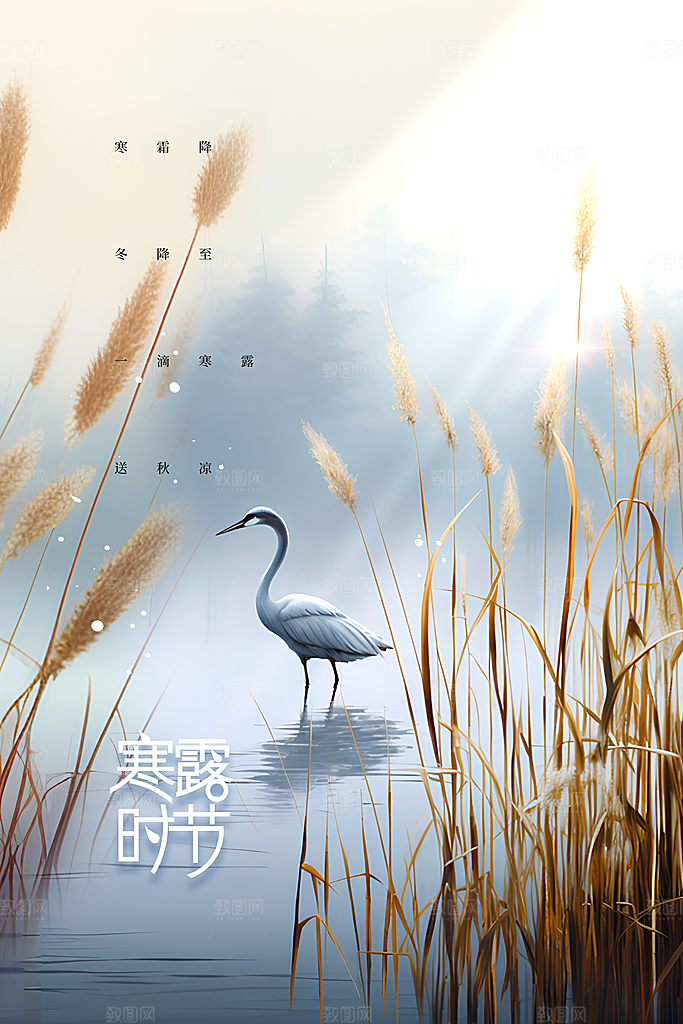 寒露节气传统活动宣传海报
