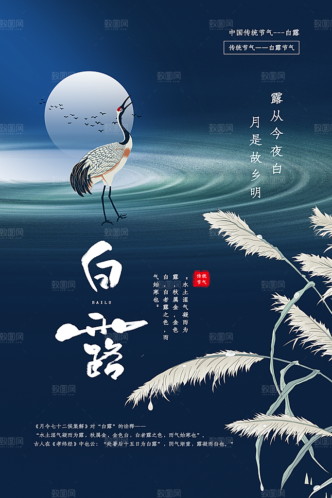 白露节气传统活动海报