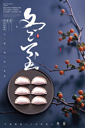 传统节气冬至海报模版