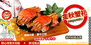 美食螃蟹大闸蟹美味促销展板