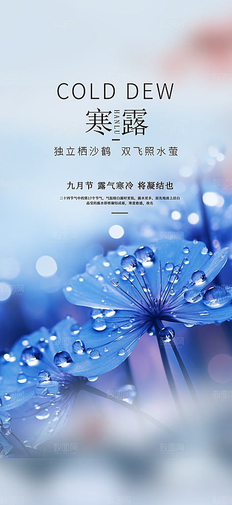 寒露二十四节气海报