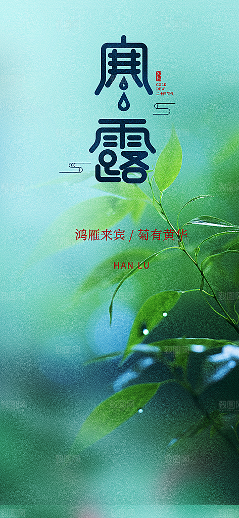 寒露二十四节气海报