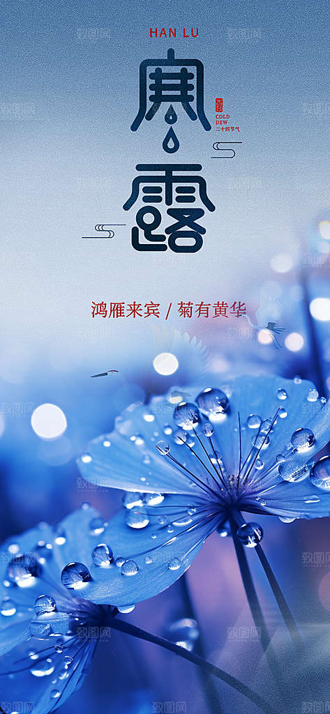 寒露二十四节气海报