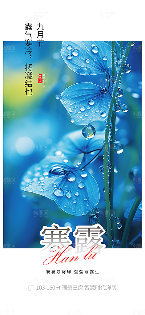 寒露二十四节气海报