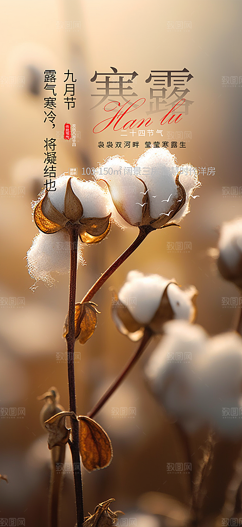 寒露二十四节气海报