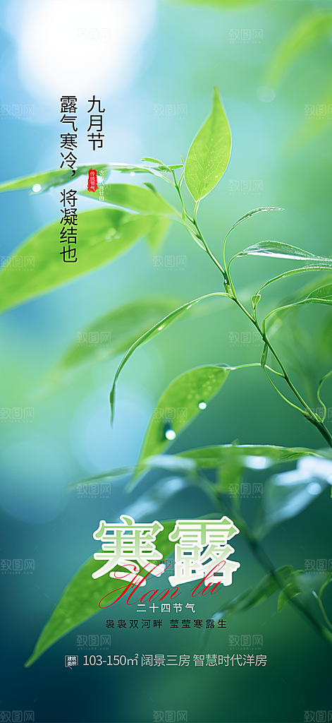 传统寒露二十四节气海报