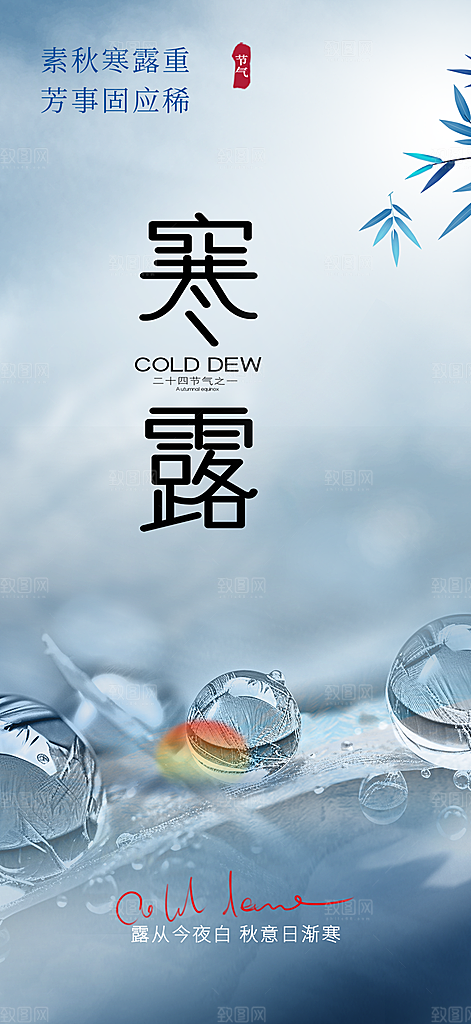 传统寒露二十四节气海报