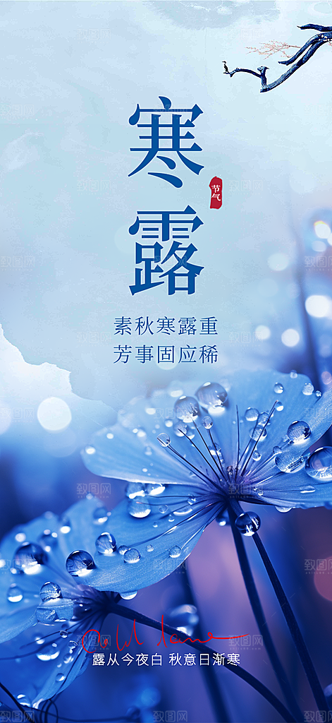 传统寒露二十四节气海报