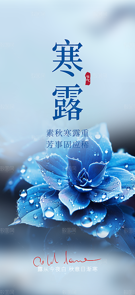 传统寒露二十四节气海报