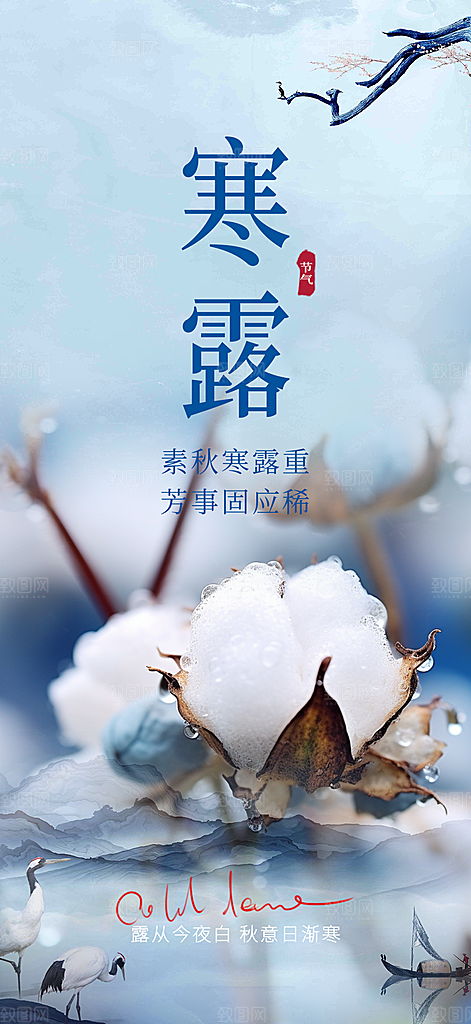 传统寒露二十四节气海报