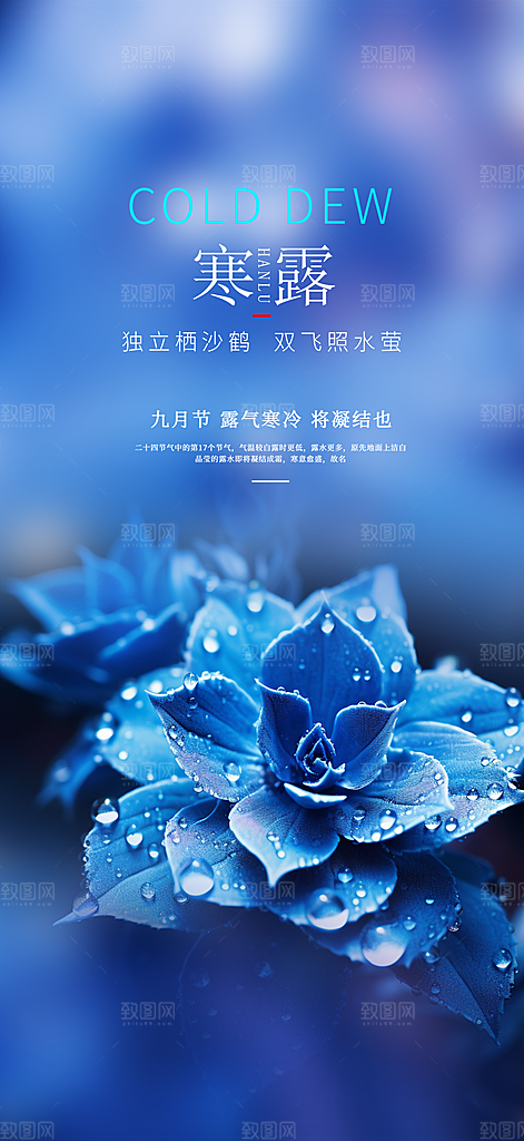 寒露二十四节气海报