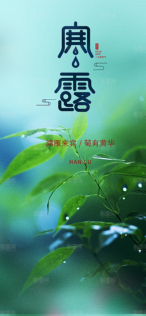 寒露二十四节气海报