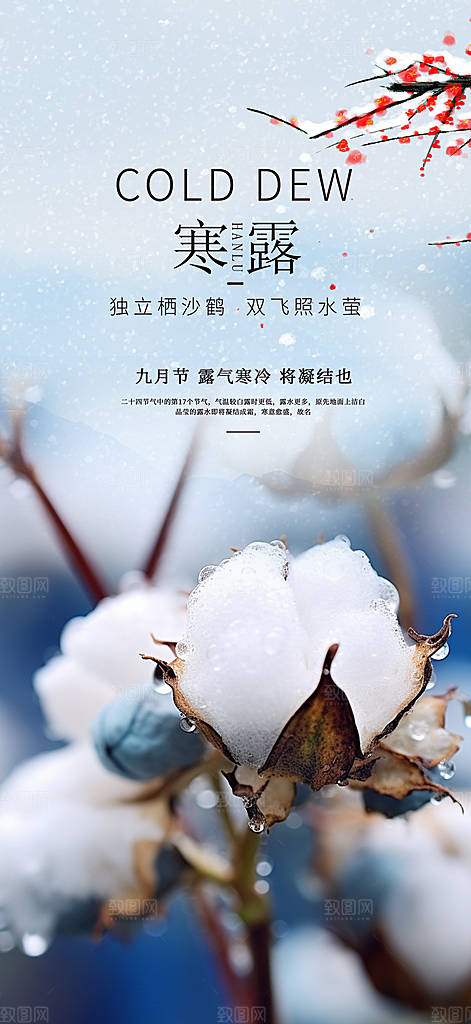 传统寒露二十四节气海报