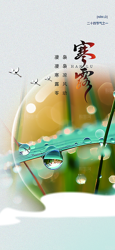 传统寒露二十四节气海报
