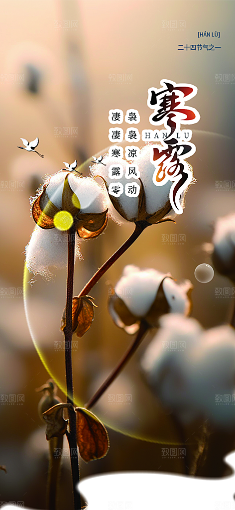 传统寒露二十四节气海报