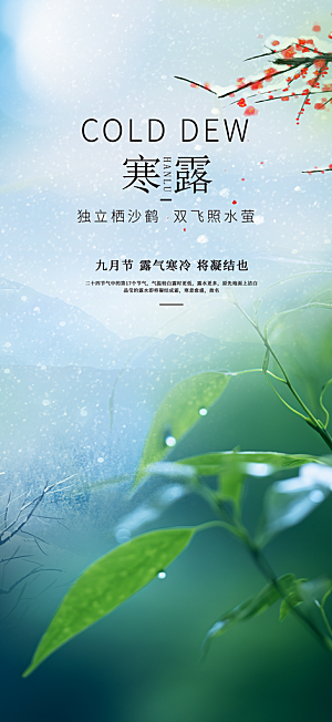 传统寒露二十四节气海报
