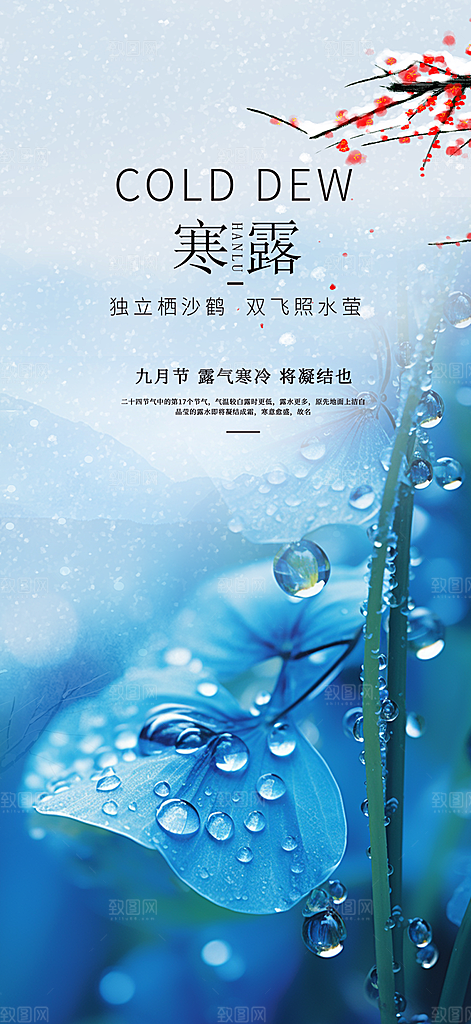 传统寒露二十四节气海报