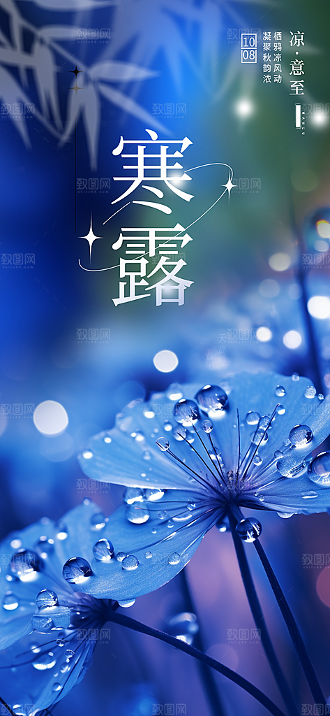 简约风传统寒露二十四节气海报